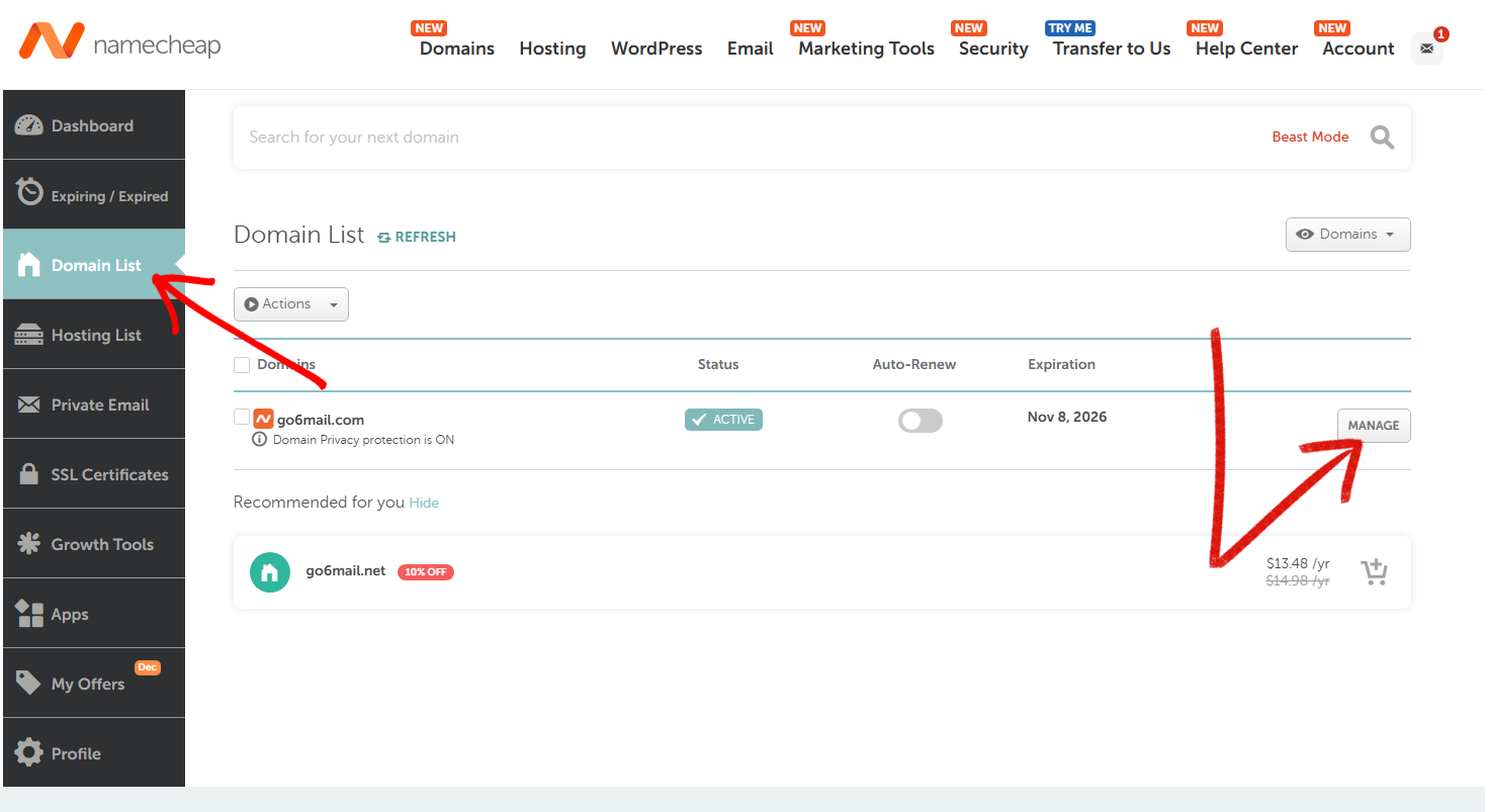 Step 1: Access Domain DNS Settings